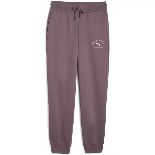  Pantalonii pentru doamne PUMA CLASS SWEATPANTS 68813688 STAFIDE 