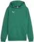 Panouri pentru bebeluși PUMA TEAMGOAL CASUALS HOODY JR 658619_05 SPORT GREEN/ SPORT GREEN/PUMA WHITE