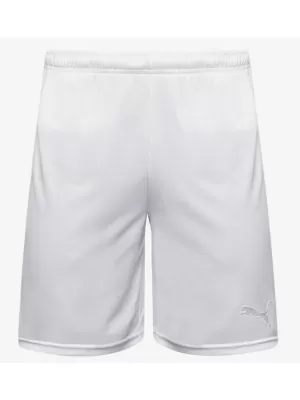 Pantaloni scurți pentru bărbați PUMA FASTMOVE SHORTS 60589101 PUMA ALB