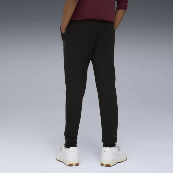  Tracksuits PUMA CLASS SWEATPANTS TR B 68885301 PUMA NEGRU 