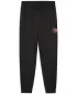Tracksuits PUMA ACTIVE SPORTS GRAPHIC POLY PANTS B 52769301 PUMA NEGRU