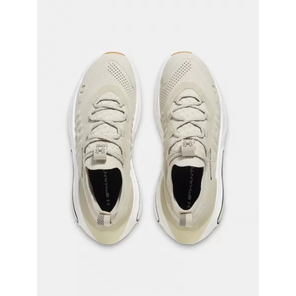  Pantofi pentru bărbați UNDER ARMOUR UA PHANTOM 4 3027593-289 MARO 