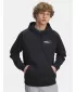 Hanorac pentru bărbați UNDER ARMOUR UA RIVAL FLEECE HBR LOGO HD 6003955-001 NEGRU