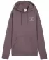 Panoul pentru doamne PUMA CLASS RELAXED HOODIE 68813288 STAFIDE