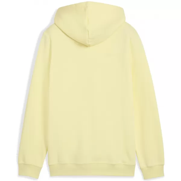  Panouri pentru bebeluși PUMA ESS 2 COLOR NO 1 LOGO HOODIE FL B 68582235 LUNA DE AUR 