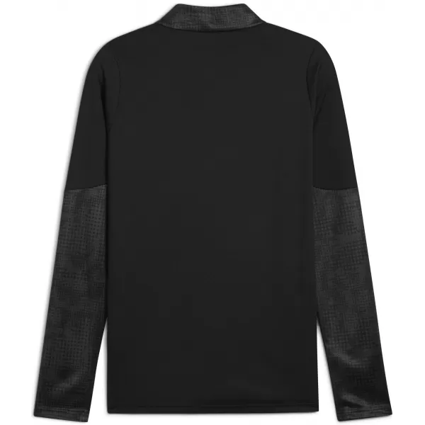  Panoul pentru bărbați PUMA TEAMCUP TRAINING 1/4 ZIP TOP 659164_03 PUMA BLACK/PUMA SILVER 