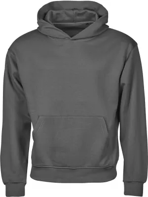 Hanorac unisex TEE JAYS | TJ 5162 GRI PUDRA