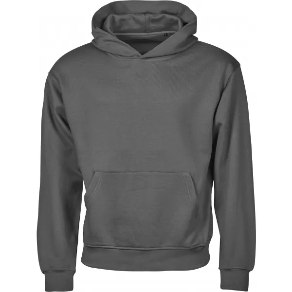  Hanorac unisex TEE JAYS | TJ 5162 GRI PUDRA 