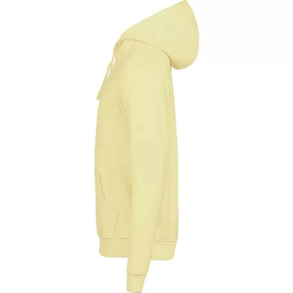  Hanorac unisex TEE JAYS | TJ 5152 SOARE 