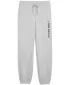 Pantaloni de trening pentru bărbați PUMA M GRAPHIC FRENCH TERRY JOGGER 52770304 ERICA GRI DESCHIS