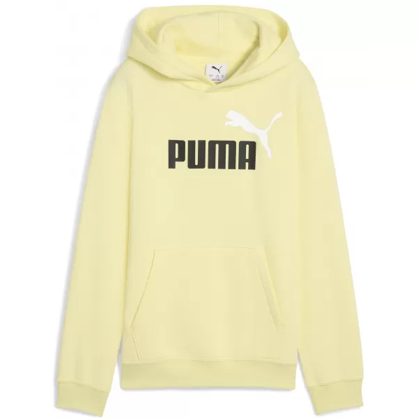 Panouri pentru bebeluși PUMA ESS 2 COLOR NO 1 LOGO HOODIE FL B 68582235 LUNA DE AUR 
