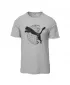 Cămaşă PUMA TECH GRAPHIC TEE 63219263 ECOU GRI