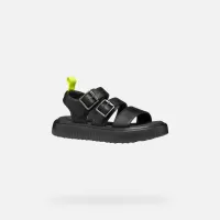 Negru