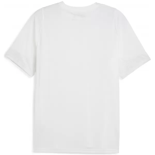  Jersey pentru bărbați PUMA TEAMCUP TRAINING JERSEY 659167_04 PUMA WHITE/PUMA SILVER 