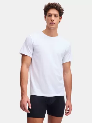 Tricou pentru bărbați UNDER ARMOUR M UA PERF COTTON CREW NECK-2PK 6007621-100 ALB