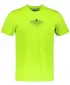 Tricou bărbătesc din bumbac ALTISPORT ALM148129 LĂMÂIE VERDE