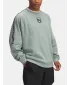 Hanorac pentru bărbați UNDER ARMOUR M'S 96 TERRACE CREW NECK 1390111-348 VERDE