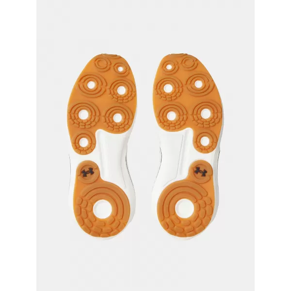  Pantofi pentru bărbați UNDER ARMOUR UA PHANTOM 4 3027593-289 MARO 