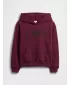Hanorac pentru copii GAP LOGO HOODIE PULLOVER 839160-00 LUREX VISINIU