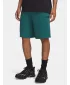 Pantaloni scurți pentru bărbați UNDER ARMOUR UA RIVAL LW SHORTS 6009345-338 VERDE