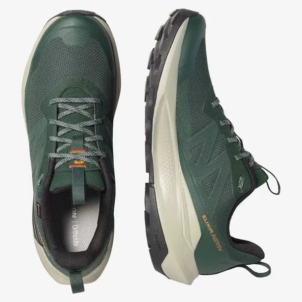  Pantofi pentru bărbați SALOMON ELIXIR ACTIV GTX L49229800 SCARAB/GREEN GABLES/CHILI 