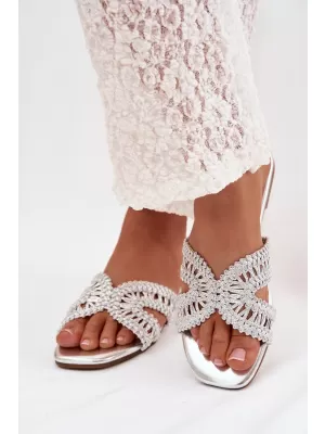 Papuci de damă BOTO FARIELLA 41984 ARGINT