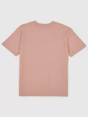 Tricou pentru bărbați GAP ARCHIVE LOGO TEE 797924-10 ROZ MOALE