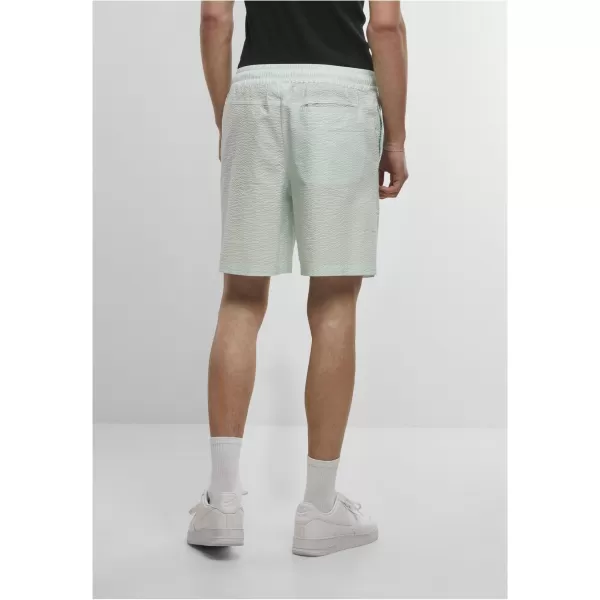  Pantaloni scurţi URBAN CLASSICS TB6617 FROST MINT 