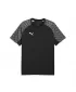 Tricou pentru bărbați PUMA TEAMLIGA26 JERSEY 659721_03 PUMA NEGRU/PUMA ALB
