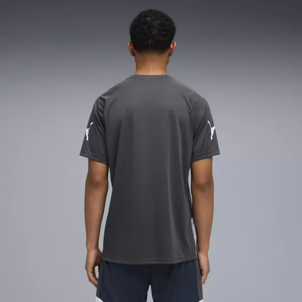  Tricou funcțional pentru bărbați PUMA INDIVIDUALLIGA GRAPH JERSEY 660578_02 MINERAL COBALT/GRI VAPORI 