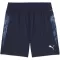 Pantaloni scurți pentru bărbați PUMA TEAMCUP TRAINING SHORTS 659171-06 PUMA NAVY/PUMA SILVER