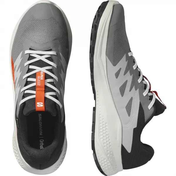  Pantofi pentru bărbați SALOMON ALPHAGLIDE GTX L47975300 CASTLEROCK/LUNAR ROCK/ROȘIE CHERRY 