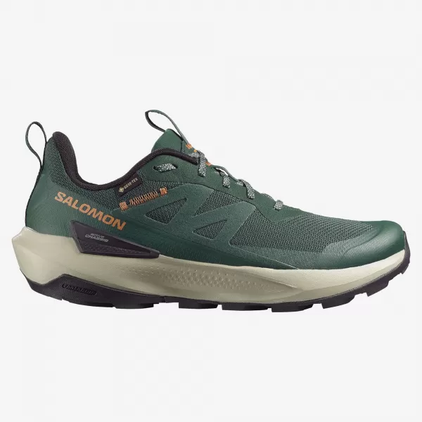  Pantofi pentru bărbați SALOMON ELIXIR ACTIV GTX L49229800 SCARAB/GREEN GABLES/CHILI 
