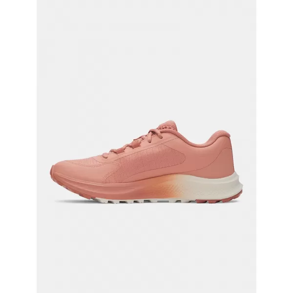  Pantofi de dama UNDER ARMOUR W CHARGED BANDIT TR 3 3028405-696 ROZ 