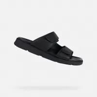 Negru