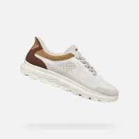 Bej