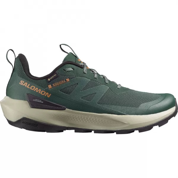  Pantofi pentru bărbați SALOMON ELIXIR ACTIV GTX L49229800 SCARAB/GREEN GABLES/CHILI 