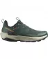Pantofi pentru bărbați SALOMON ELIXIR ACTIV GTX L49229800 SCARAB/GREEN GABLES/CHILI