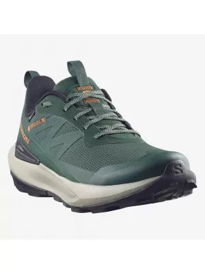Pantofi pentru bărbați SALOMON ELIXIR ACTIV GTX L49229800 SCARAB/GREEN GABLES/CHILI