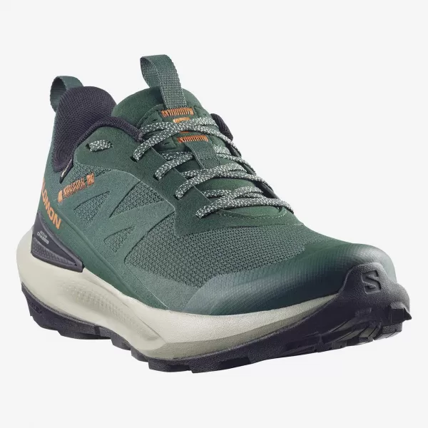 Pantofi pentru bărbați SALOMON ELIXIR ACTIV GTX L49229800 SCARAB/GREEN GABLES/CHILI 