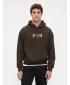 Hanorac pentru bărbați GAP LOGO PULLOVER HOODIE 821291-01 SOL