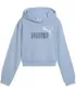 Hanorac pentru copii PUMA ESS 2 COLOR LOGO HOODIE 686072-48 HAUTE TROPIC