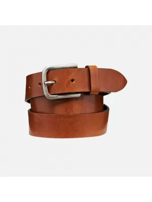 Cureaua pentru barbati GEOX G012340 MARO