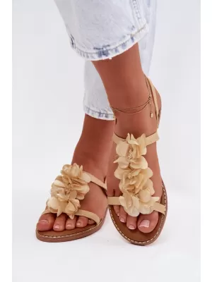 Sandale de dama BOTO NOEMIA 41683 AUR