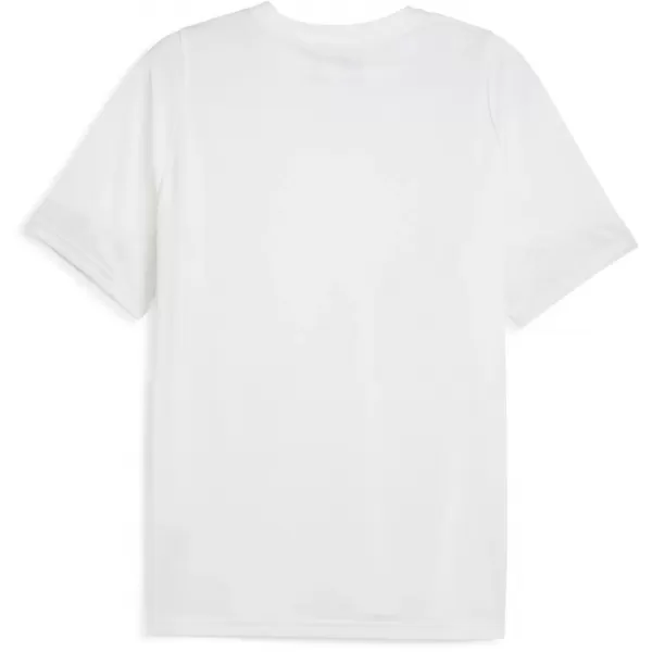  Tricou funcțional pentru bărbați PUMA TEAMCUP TRAINING JERSEY 659167-04 PUMA ALB/PUMA ARGINTIU 