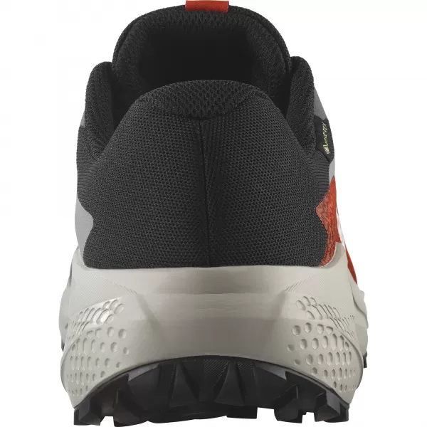  Pantofi pentru bărbați SALOMON ALPHAGLIDE GTX L47975300 CASTLEROCK/LUNAR ROCK/ROȘIE CHERRY 
