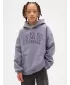 Hanorac pentru copii GAP RELAXED HOODIE PULLOVER 846224-00 FURTUNĂ