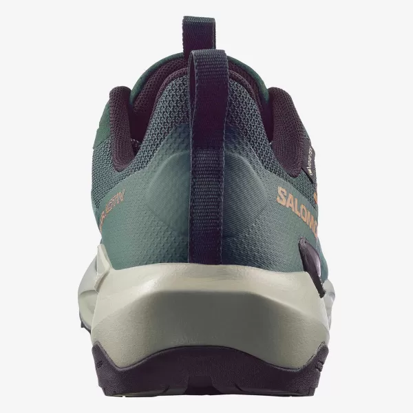  Pantofi pentru bărbați SALOMON ELIXIR ACTIV GTX L49229800 SCARAB/GREEN GABLES/CHILI 