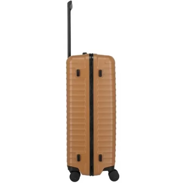  Valiză TITAN Overseas L CANION DE BRONZ 