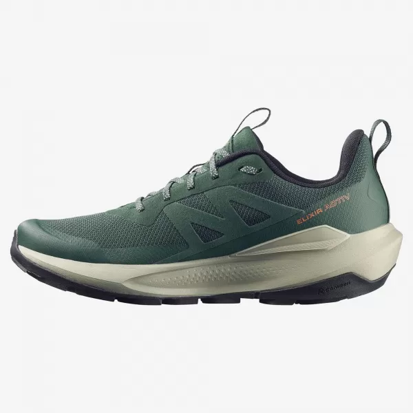  Pantofi pentru bărbați SALOMON ELIXIR ACTIV GTX L49229800 SCARAB/GREEN GABLES/CHILI 